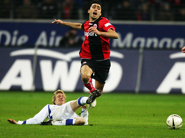 传统饮食的 传统饮食的