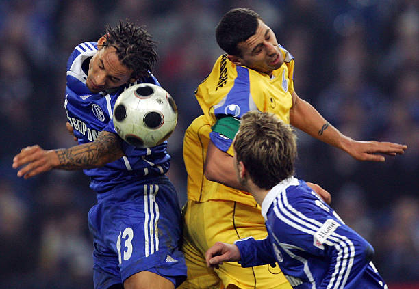 都显得更具 都显得更具